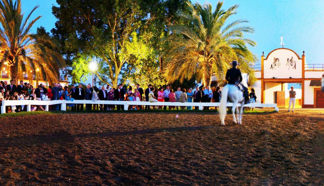 EVENTOS ÚNICOS
